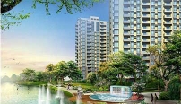 DongHua Property