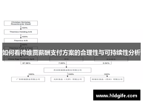 如何看待维贾薪酬支付方案的合理性与可持续性分析