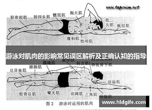 游泳对肌肉的影响常见误区解析及正确认知的指导