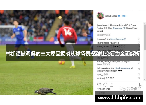 林加德被调侃的三大原因揭晓从球场表现到社交行为全面解析 林加德被调侃的三大原因揭晓从球场表现到社交行为全面解析