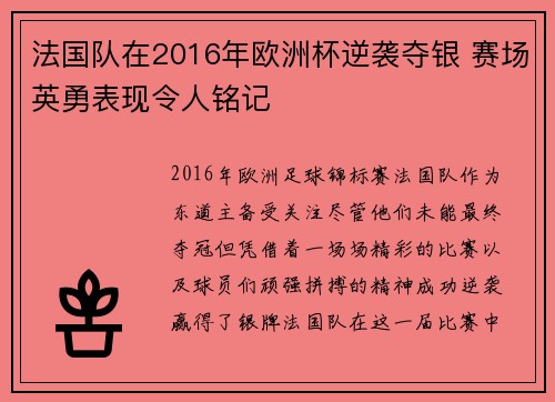 法国队在2016年欧洲杯逆袭夺银 赛场英勇表现令人铭记